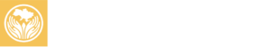 Сприяння залученню жінок до відновлення та стабілізації на рівні громад в Україні